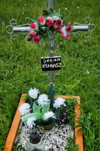 Grób